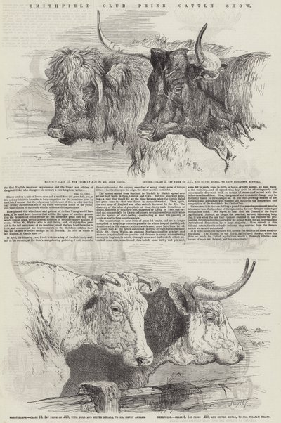 Smithfield Club Prize Cattle Show by Harrison William Weir